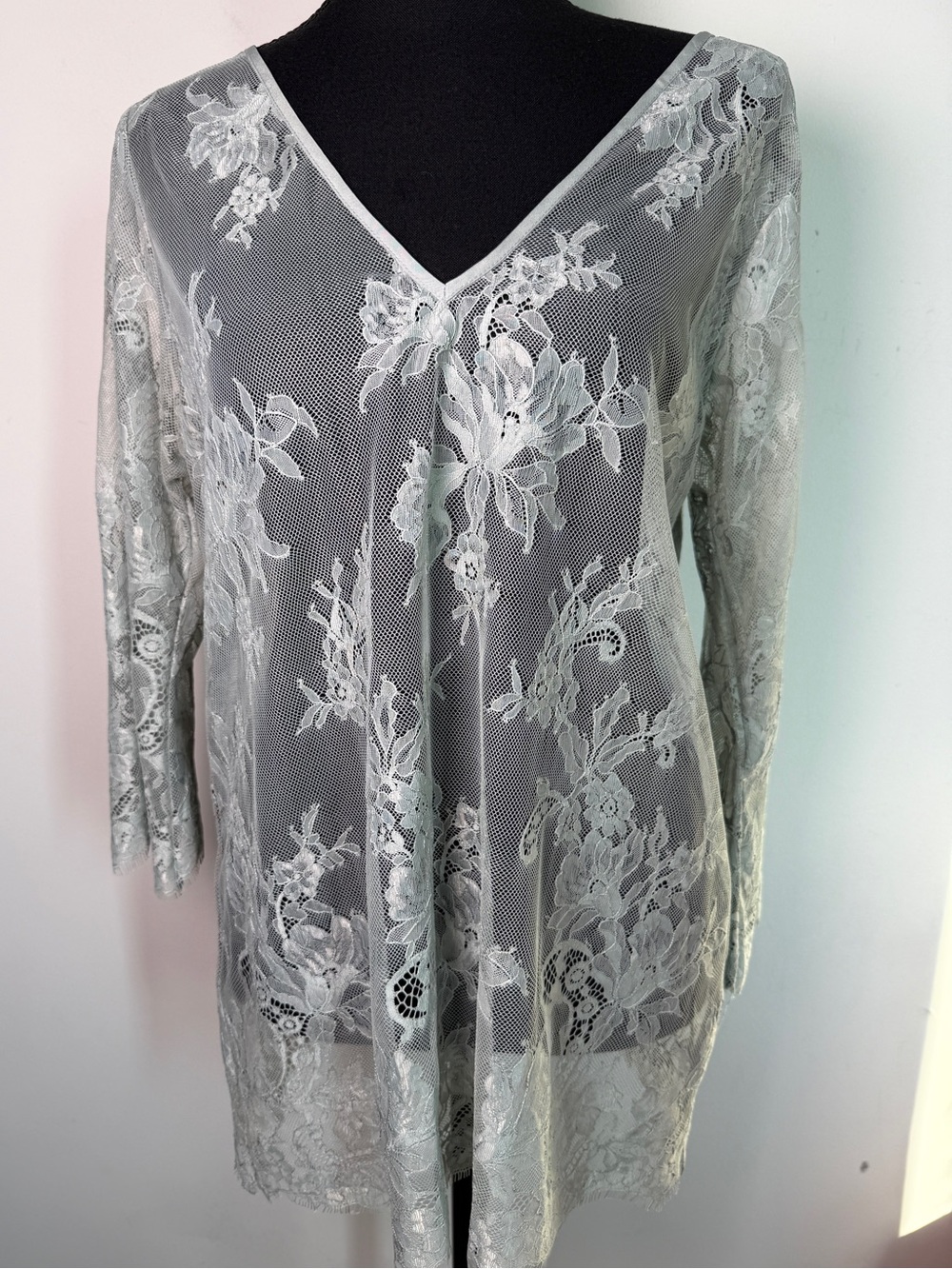 Gold Hawk Sheer Floral Eyelash Lace Tunic Silk Top Romantic Pale Sage Sz L